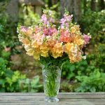 Elegant Events Florist - philadelphia pa - centerpiece