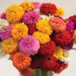 Elegant Events Florist - philadelphia pa - centerpiece