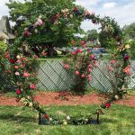 Elegant Events Florist | Philadelphia PA Philadelphia wedding and events