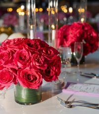 Please Touch Museum Walima