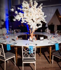 Elkins Estate Wedding